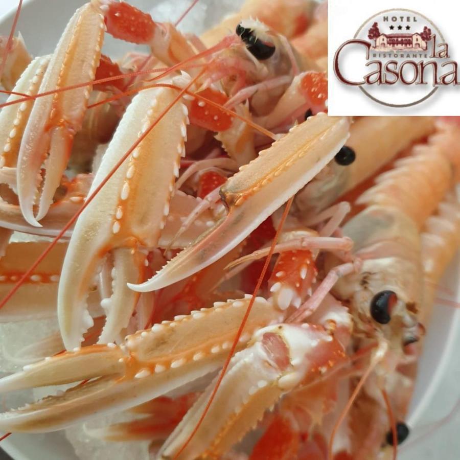 Hotel Ristorante La Casona Фелтре Екстериор снимка